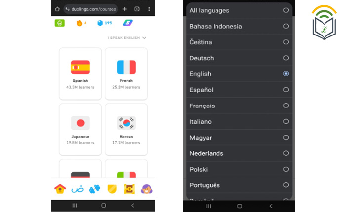 Duolingo Base Language