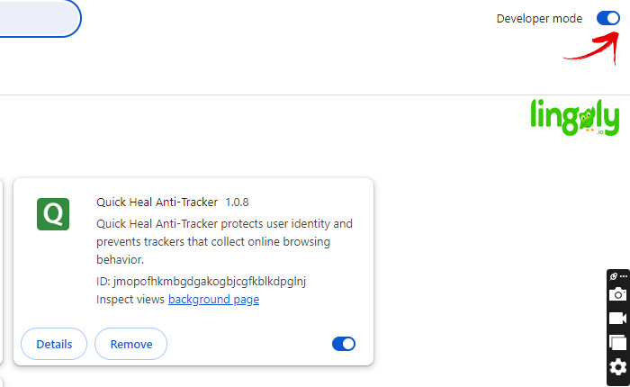 Lingopie Extension Not Working