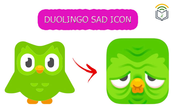 Why Does Duolingo Icon Look Sad? (December 2024) - Answered » Lingoly.io