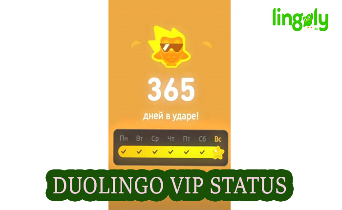 Duolingo VIP Status