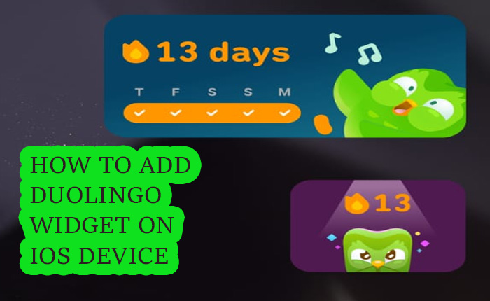 How To Add Duolingo Widget On iOS (March 2025) » Lingoly.io