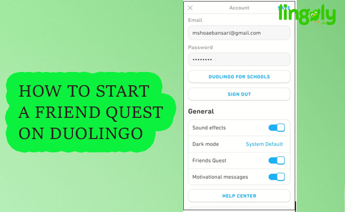 Friend Quest Duolingo