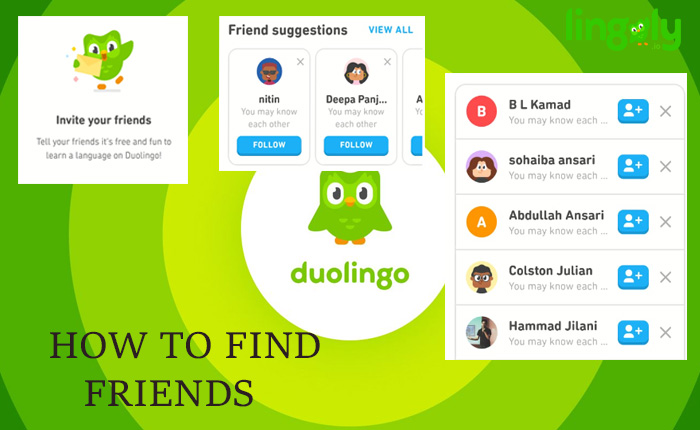 How to Find Friends on Duolingo (2025) » Lingoly.io