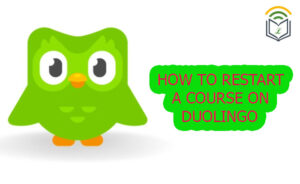 How To Restart A Course on Duolingo (May 2025) Lingoly io How To Restart A Course on Duolingo (May 2025) Lingoly io