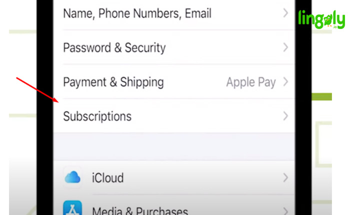 Lingopie Cancel subscription