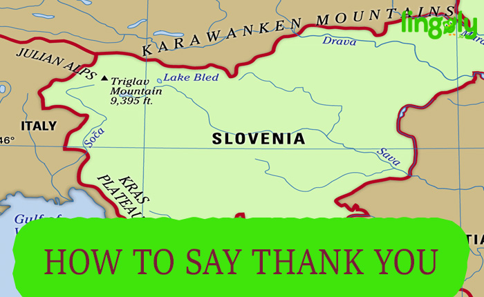 Thank You In Solvenian