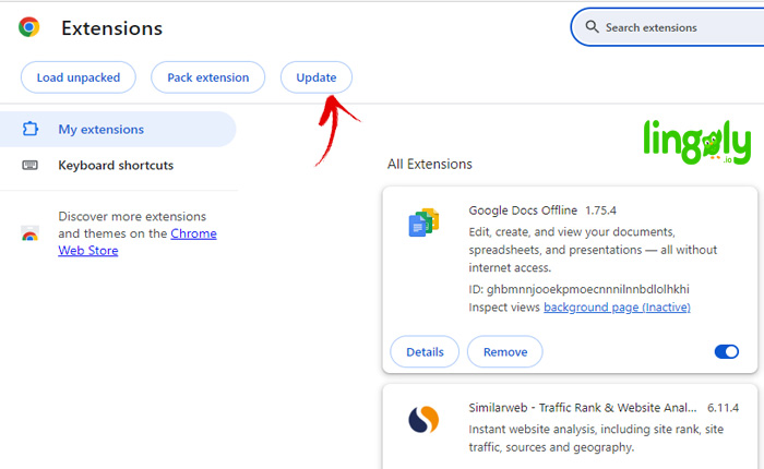 Lingopie Extension Not Working