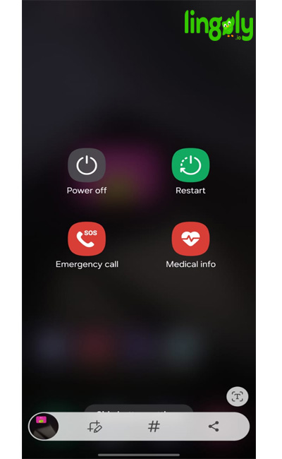 Duolingo Widget Not Showing