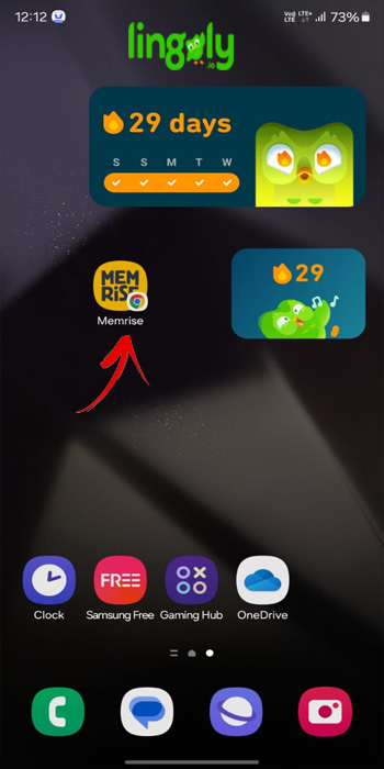 Memrise Community Courses (May 2025) All You Need To Know Lingoly io