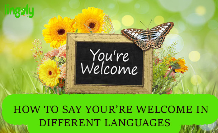 You're Welcome In Different Languages