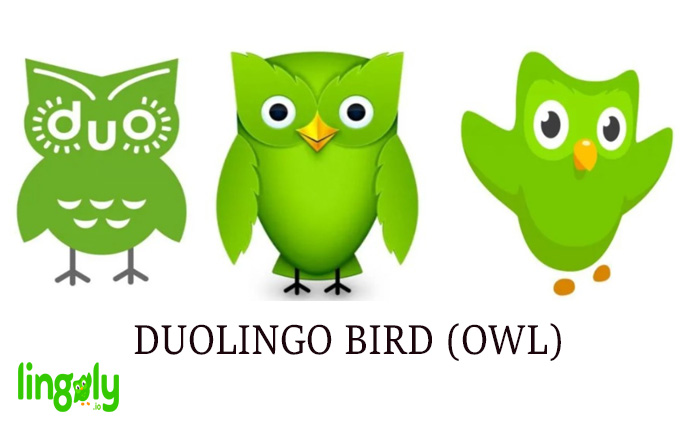 Duolingo Bird