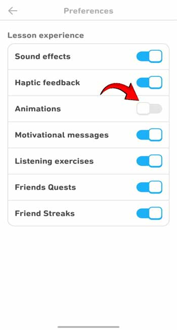 Duolingo Animation Guide