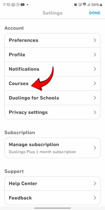 reset duolingo progress
