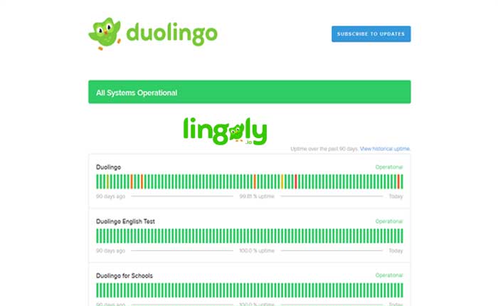 Is Duolingo Down