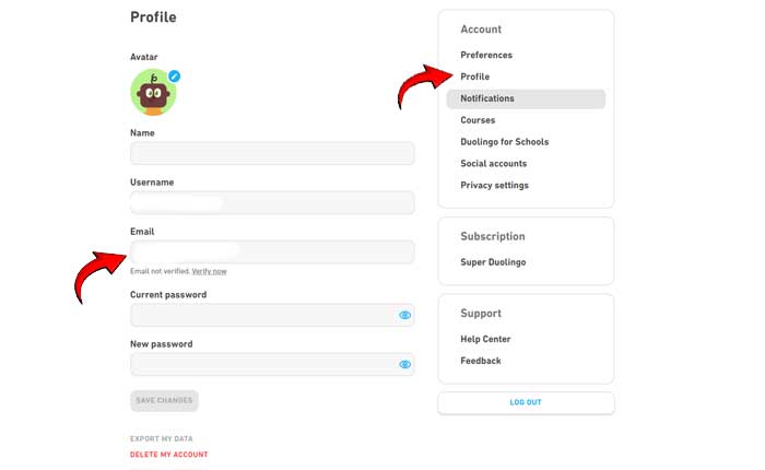 Duolingo Change Email Guide