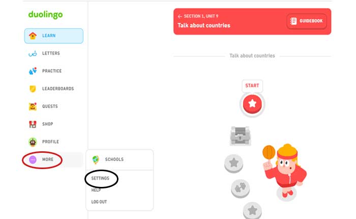Duolingo Animation Guide
