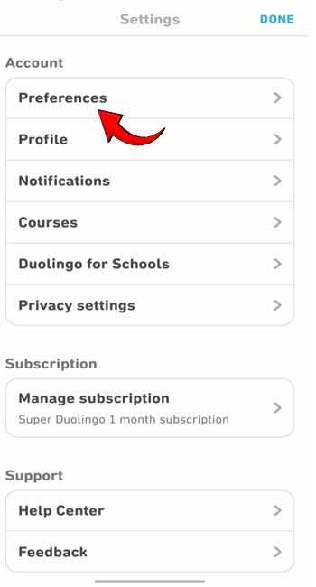 Duolingo Animation Guide