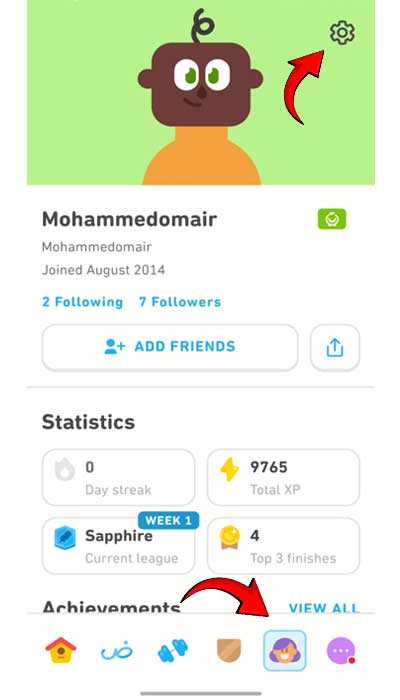 Duolingo Friend Streak