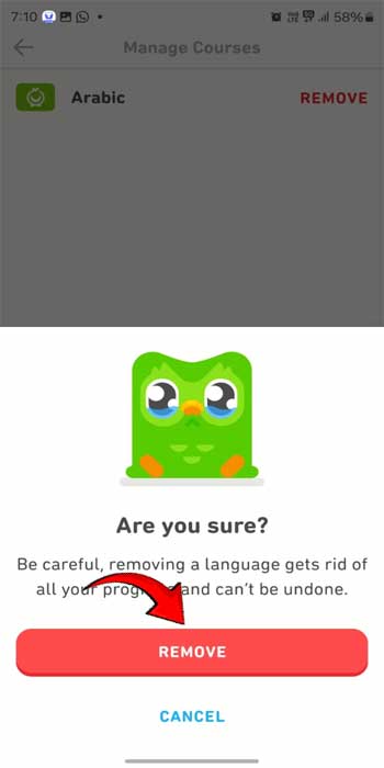 reset duolingo progress