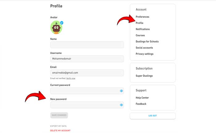 Change Duolingo Password