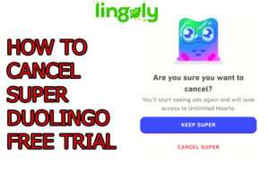 Natural Foods & GLP-1 Supplements to Help Maintain a Healthy Body Weight*