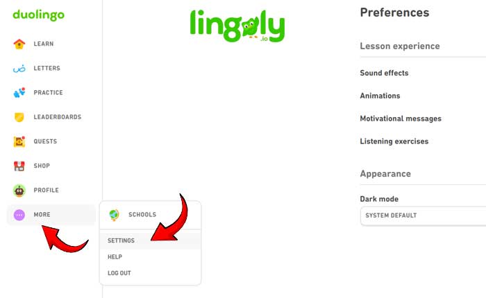 Duolingo New Follower Turn off