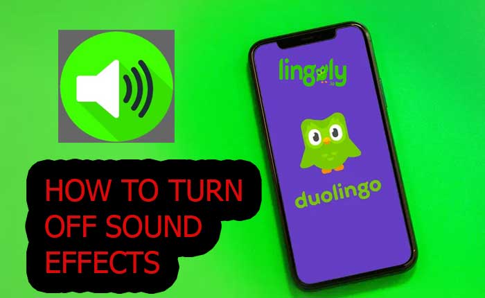 turn off video call effects