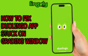Duolingo app Stuck on Grading