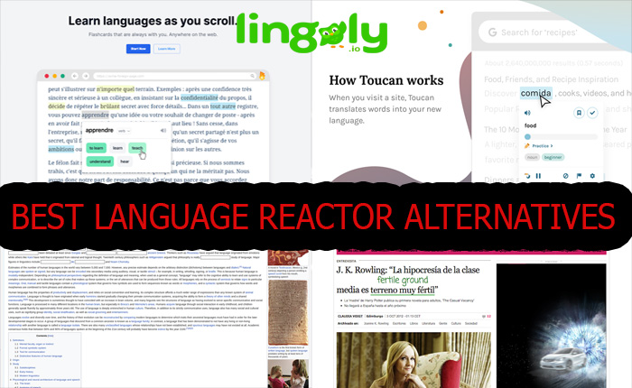Language Reactor Alternatives