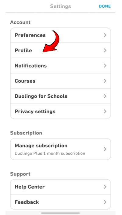 Duolingo Change Name 