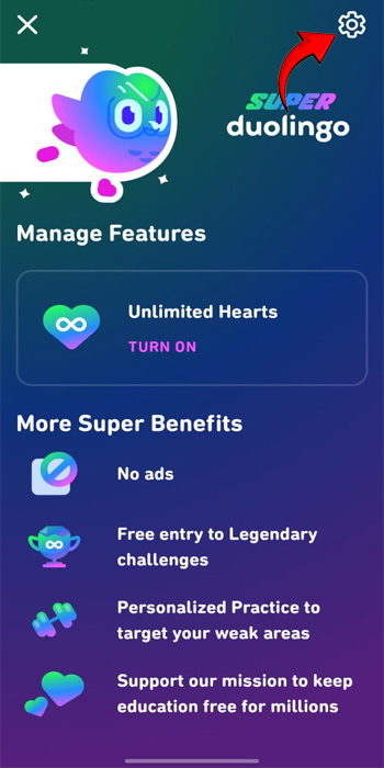 Cancel Super Duolingo