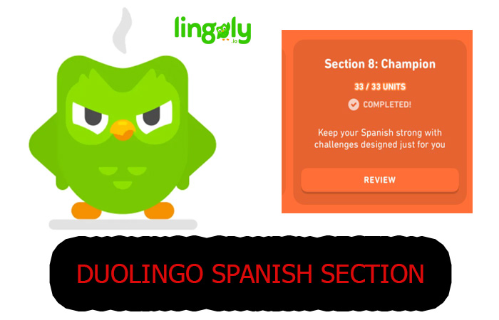 Duolingo Spanish Sections