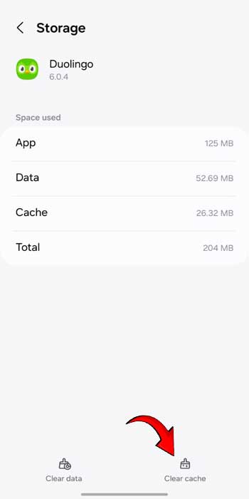 Duolingo Leaderboards Not Showing