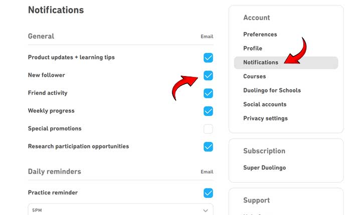 Duolingo New Follower Turn off