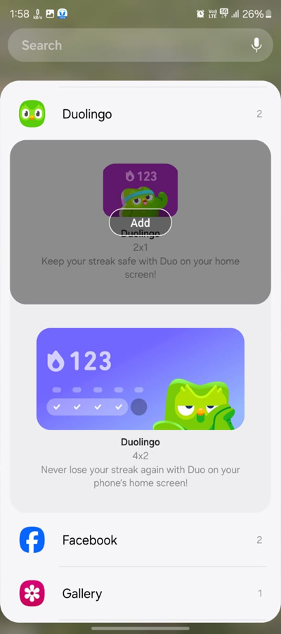 Duolingo Widget Black