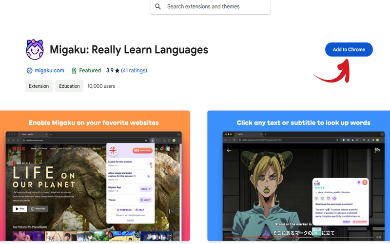 Migaku Browser Extension Guide