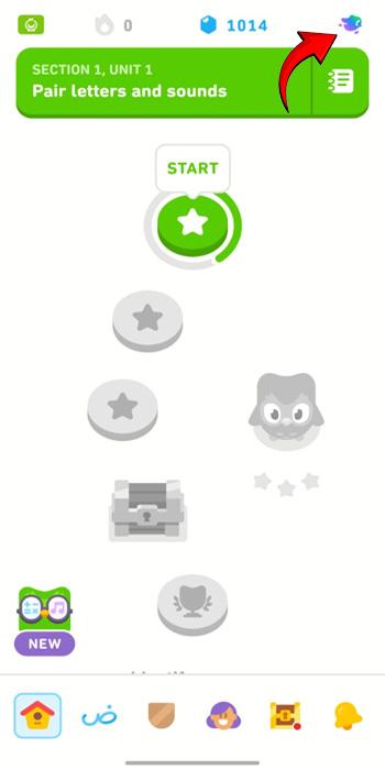 Turn off Super Duolingo