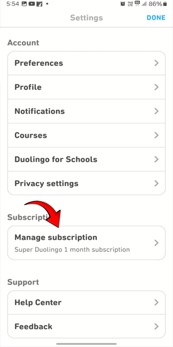 Turn off Super Duolingo