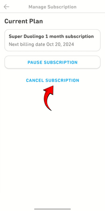 Turn off Super Duolingo