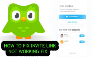 Duolingo Family Plan Invite Link Not Working