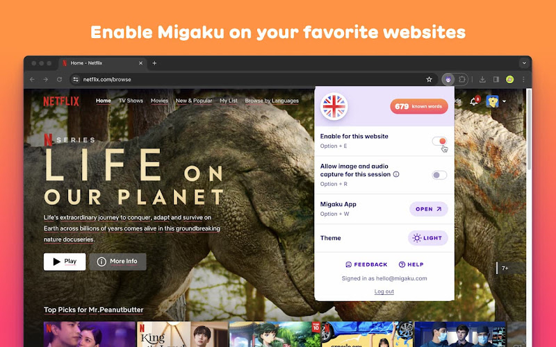 Migaku Browser Extension