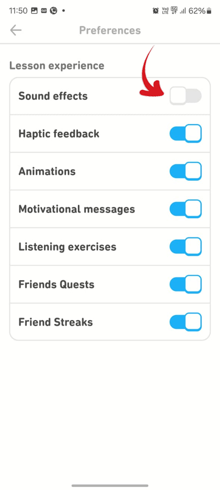 Duolingo Startup Sound