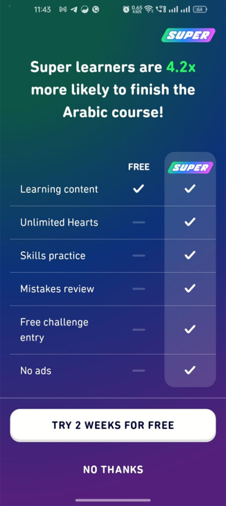 Duolingo Family Plan Share Guide