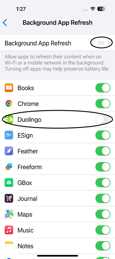 Duolingo Widget Black