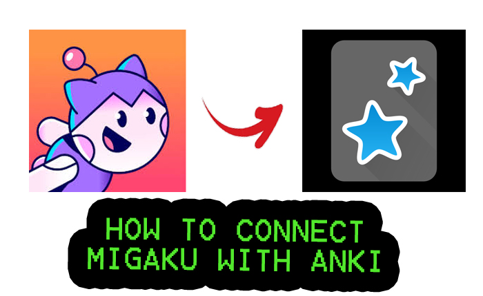 Connect Migaku Anki