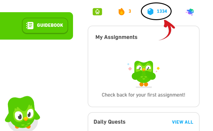 Duolingo Gems Missing Issue