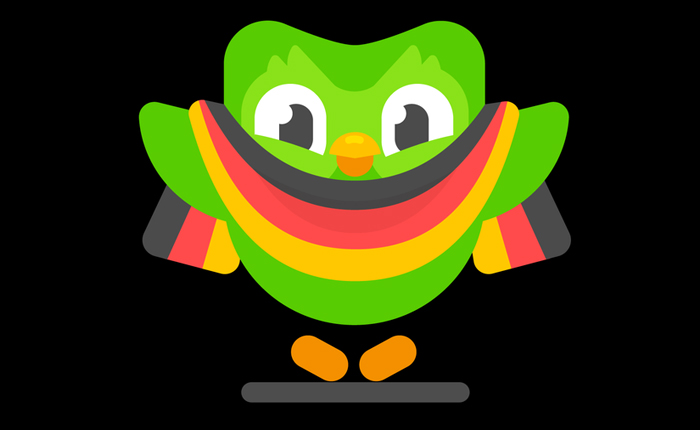 Duolingo German Sections