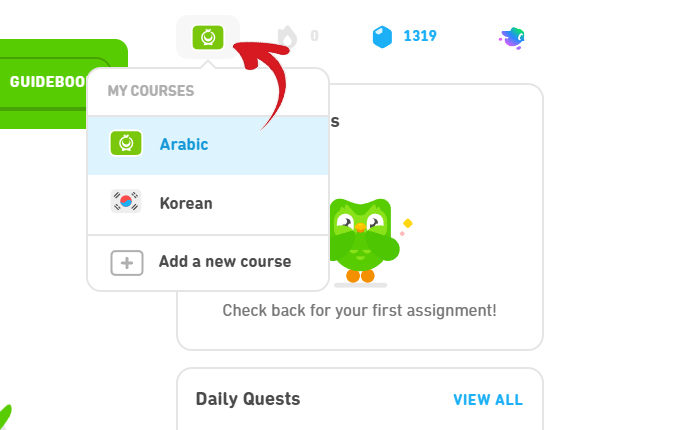 Add Another Language on Duolingo
