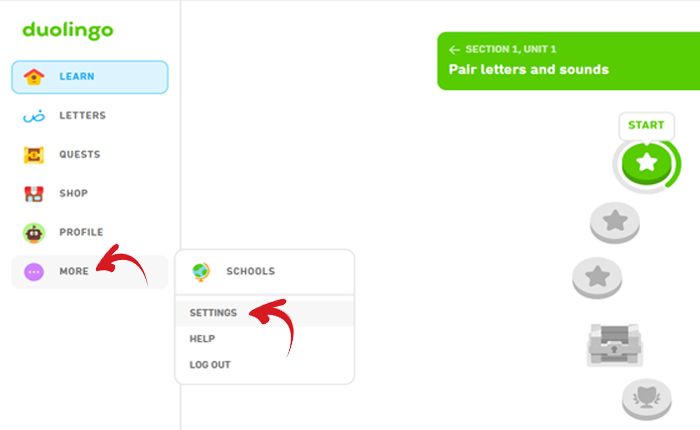 Duolingo Profile Private Guide