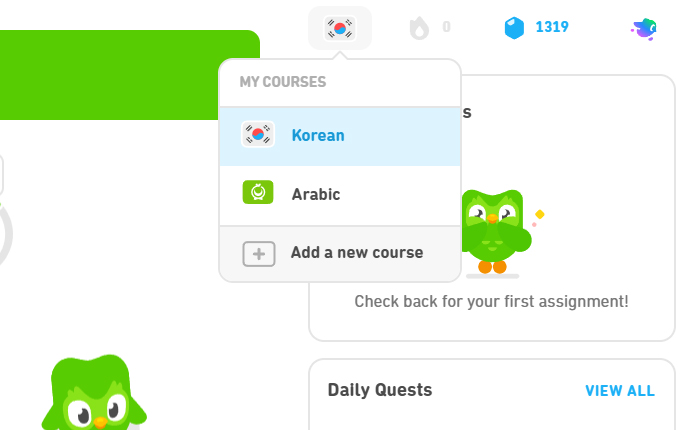 Add Another Language on Duolingo